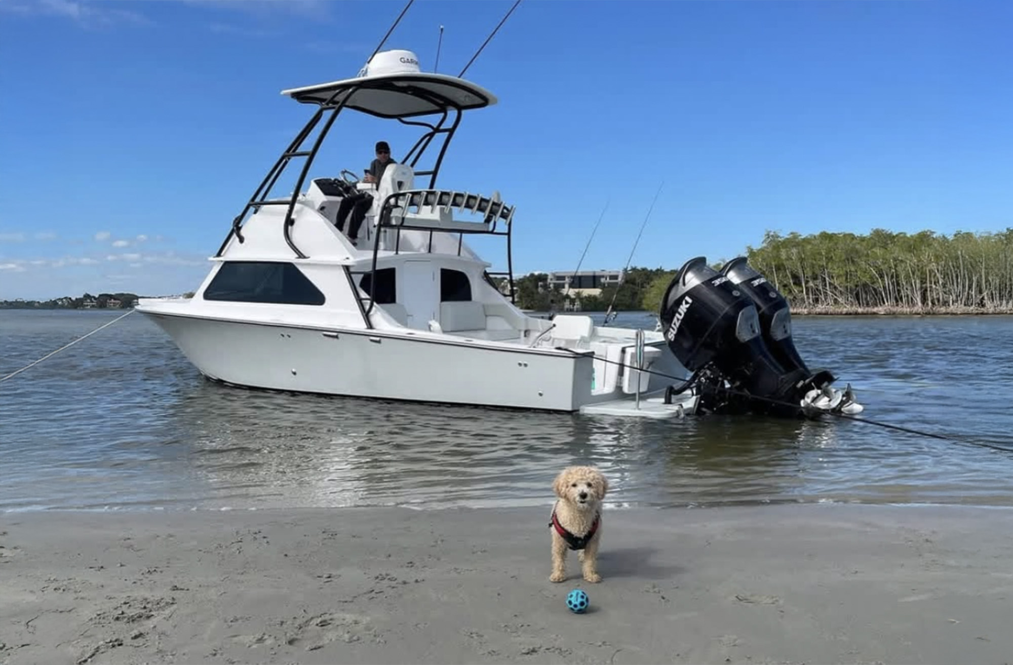 Bertram 28 with outboards