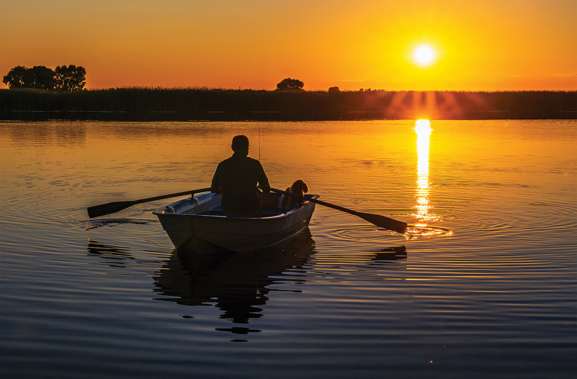 Silhouette of a 60-year-old Caucasian man with a poodle dog in a traditional rowing boat with oars in his hands against the background of a sunset.