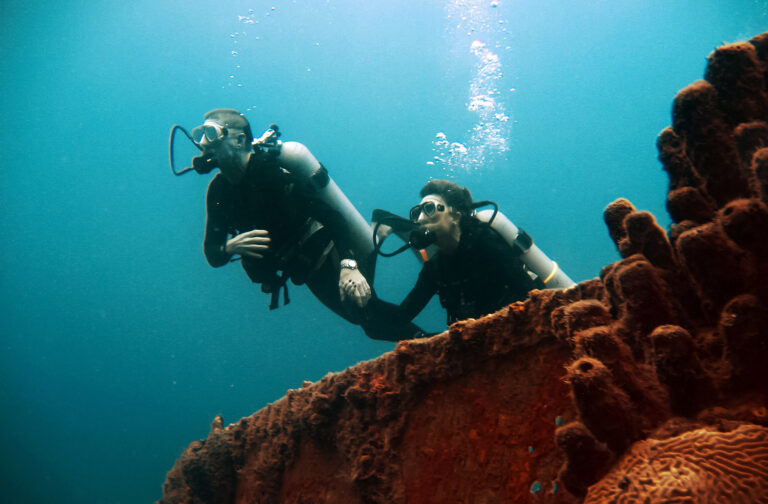 Two scuba divers
