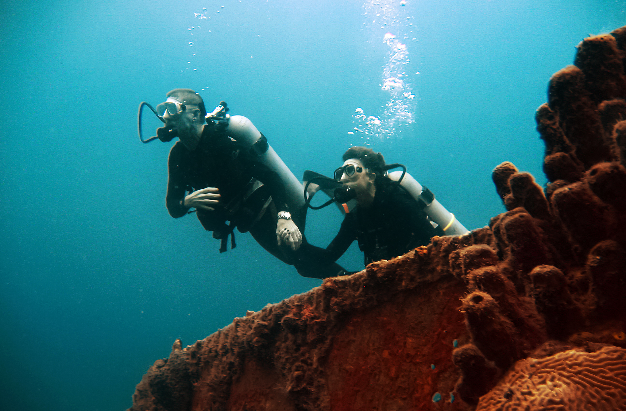 feat-scuba-divers Two scuba divers