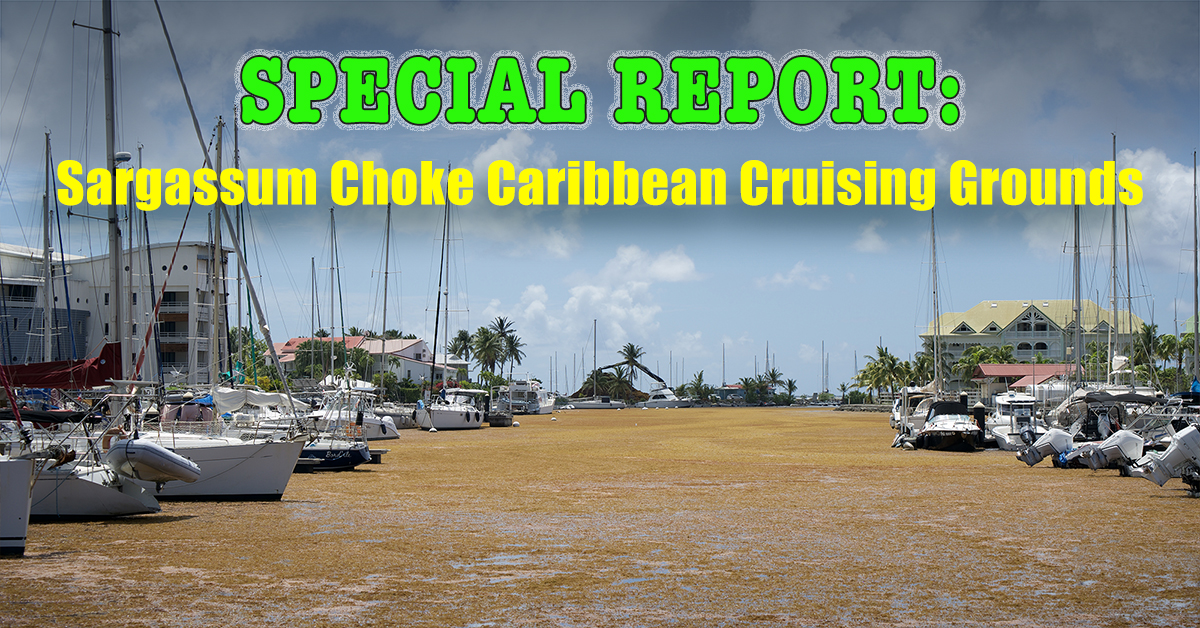 The Sargassum Conundrum