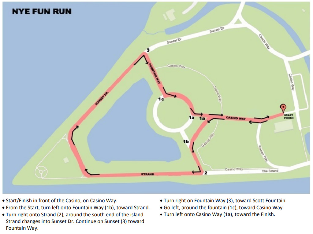 Safety Plan Belle Isle New Year's Eve Run