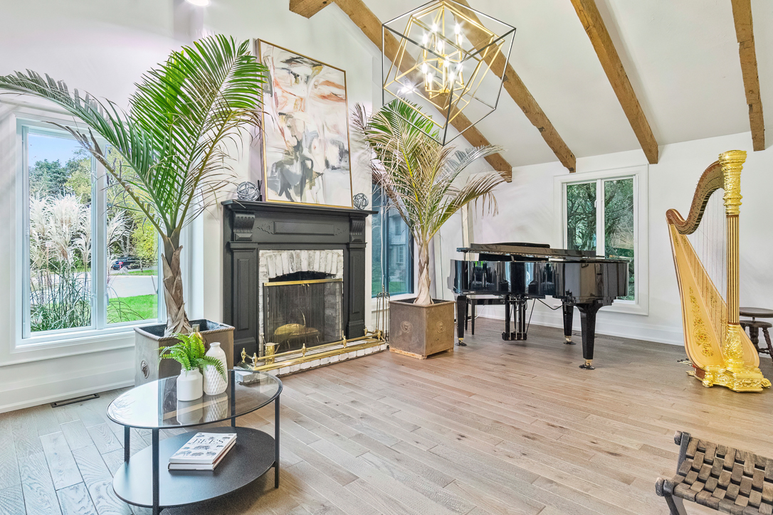 Bright living room with a grand piano, fireplace, and palm plants