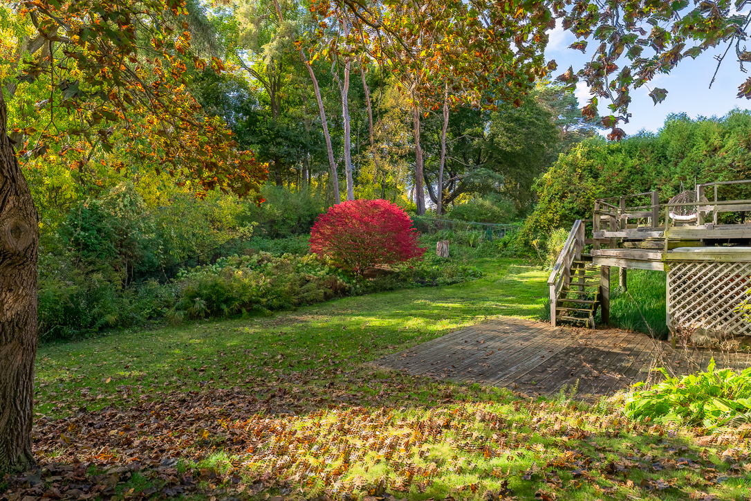 Vibrant garden scene with autumn foliage and a red bush