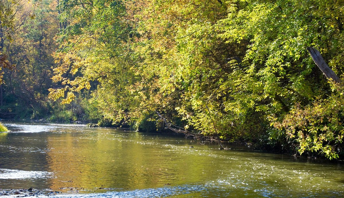 cooksville mississauga neighbourhood features