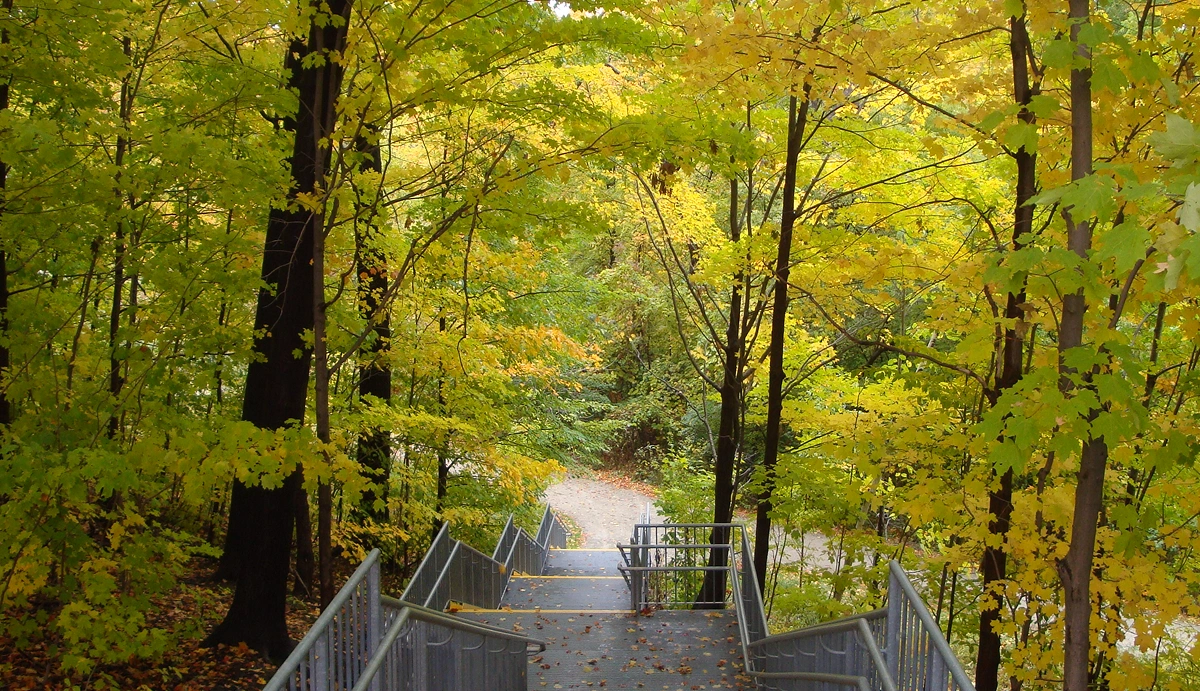 dixie mississauga neighbourhood features