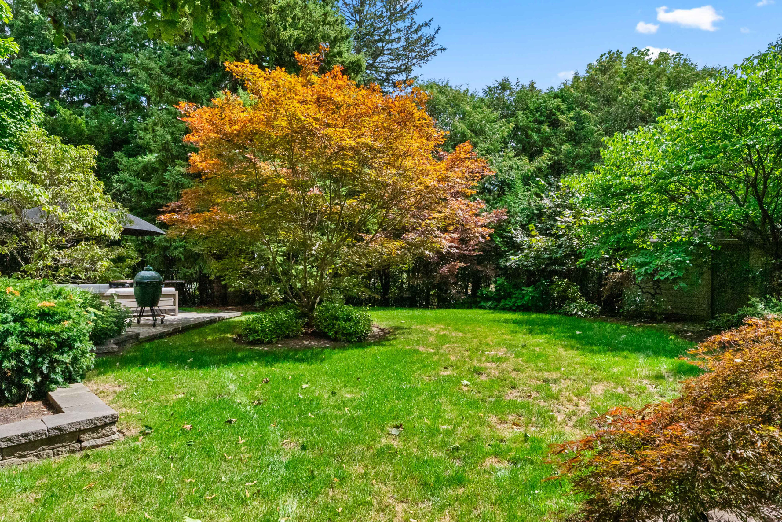 Lush garden with colorful trees and green grass under a blue sky