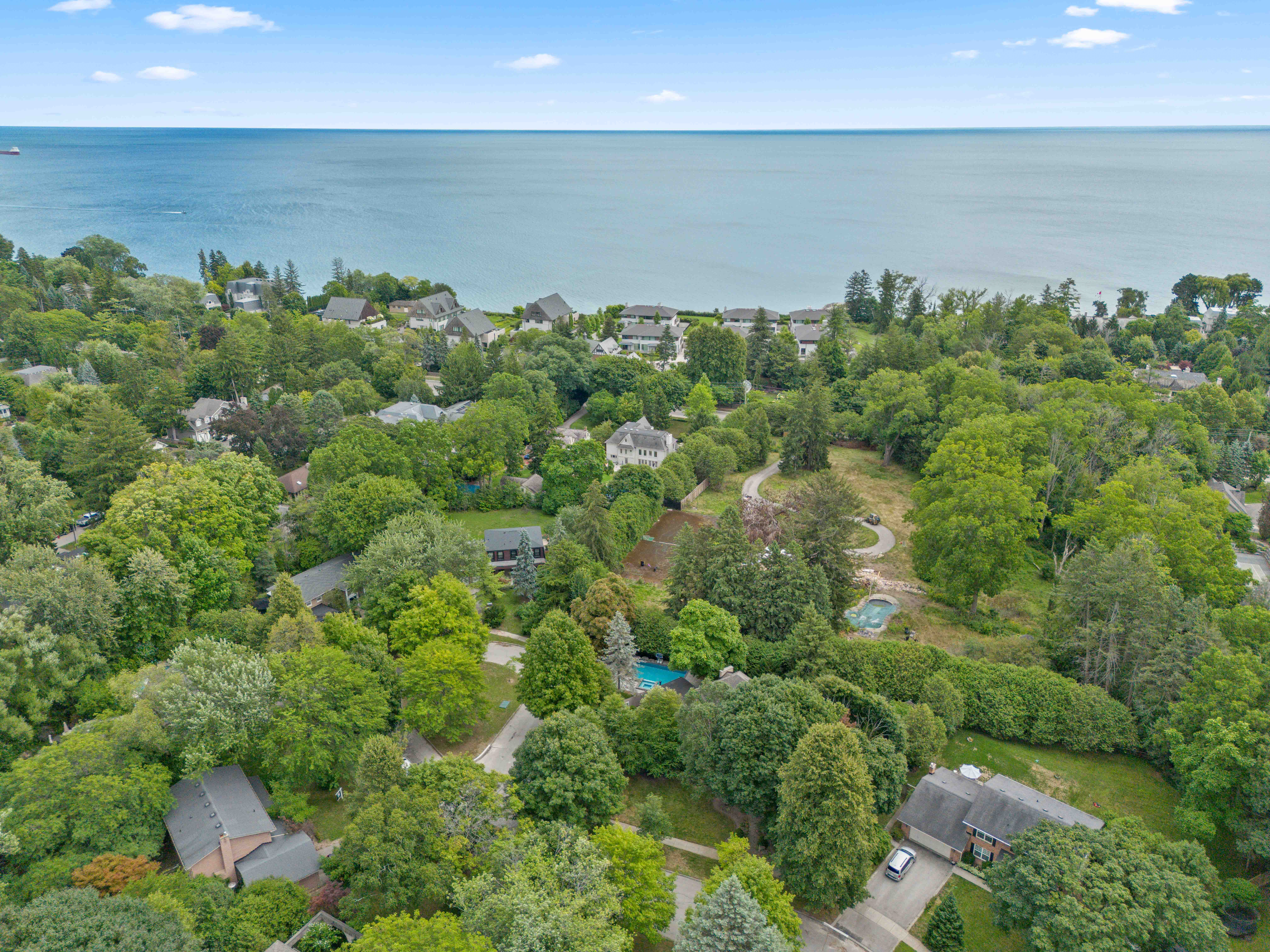 Aerial view of a lush, green neighborhood by the lake