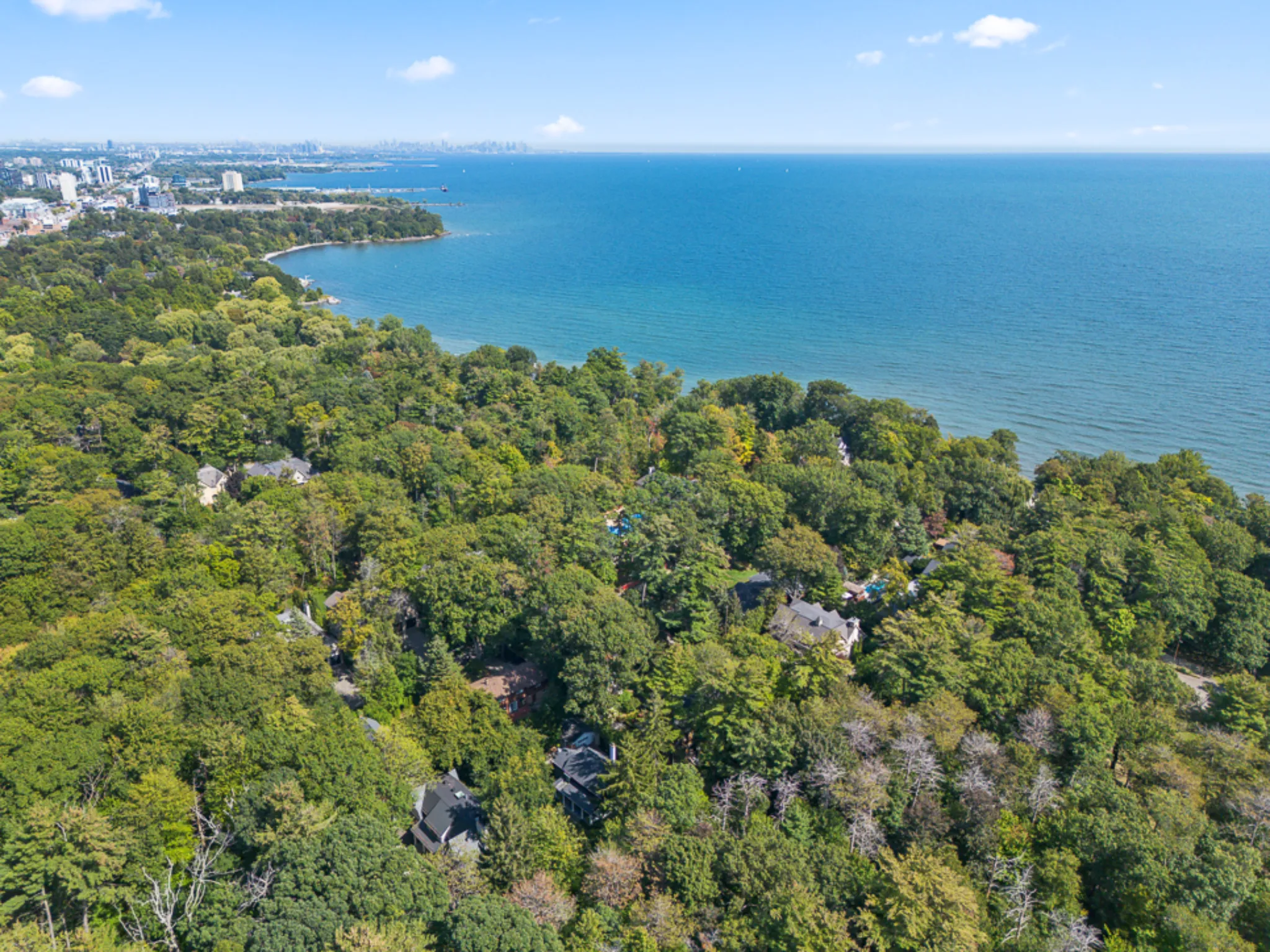 Aerial view of lush green trees along a coastline with blue water