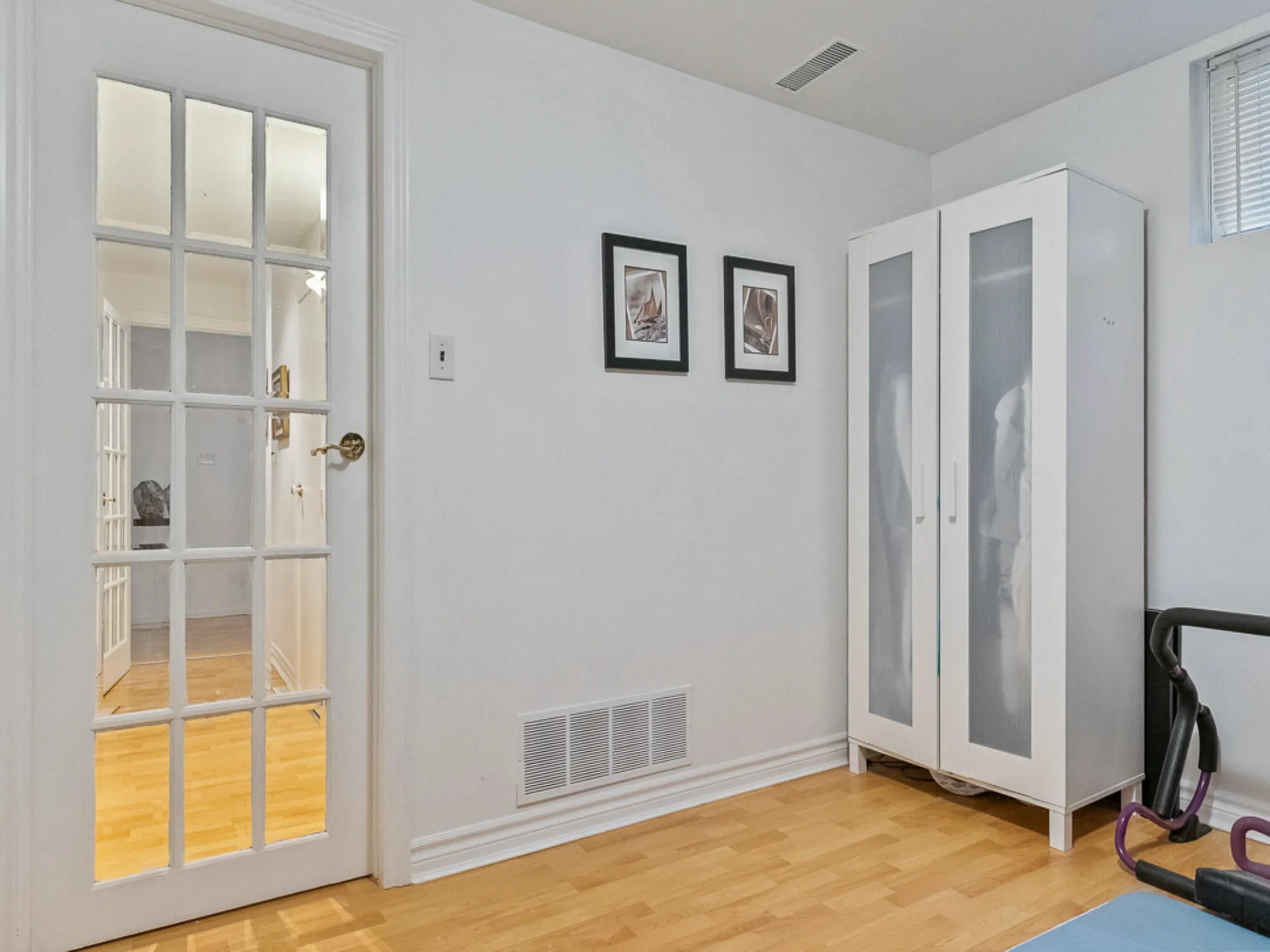 lower level room with french door