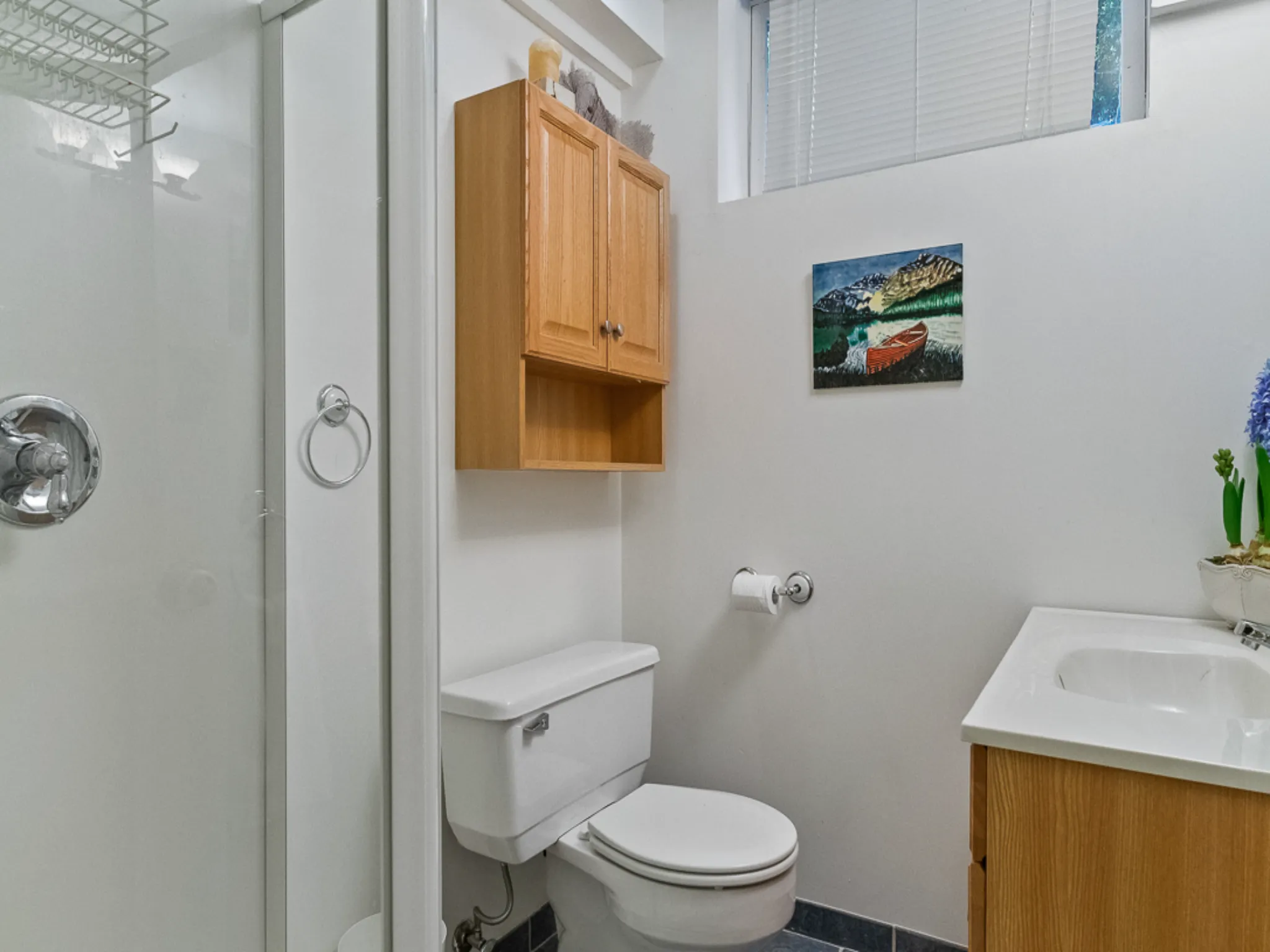 lower level bathroom with toilet and shower