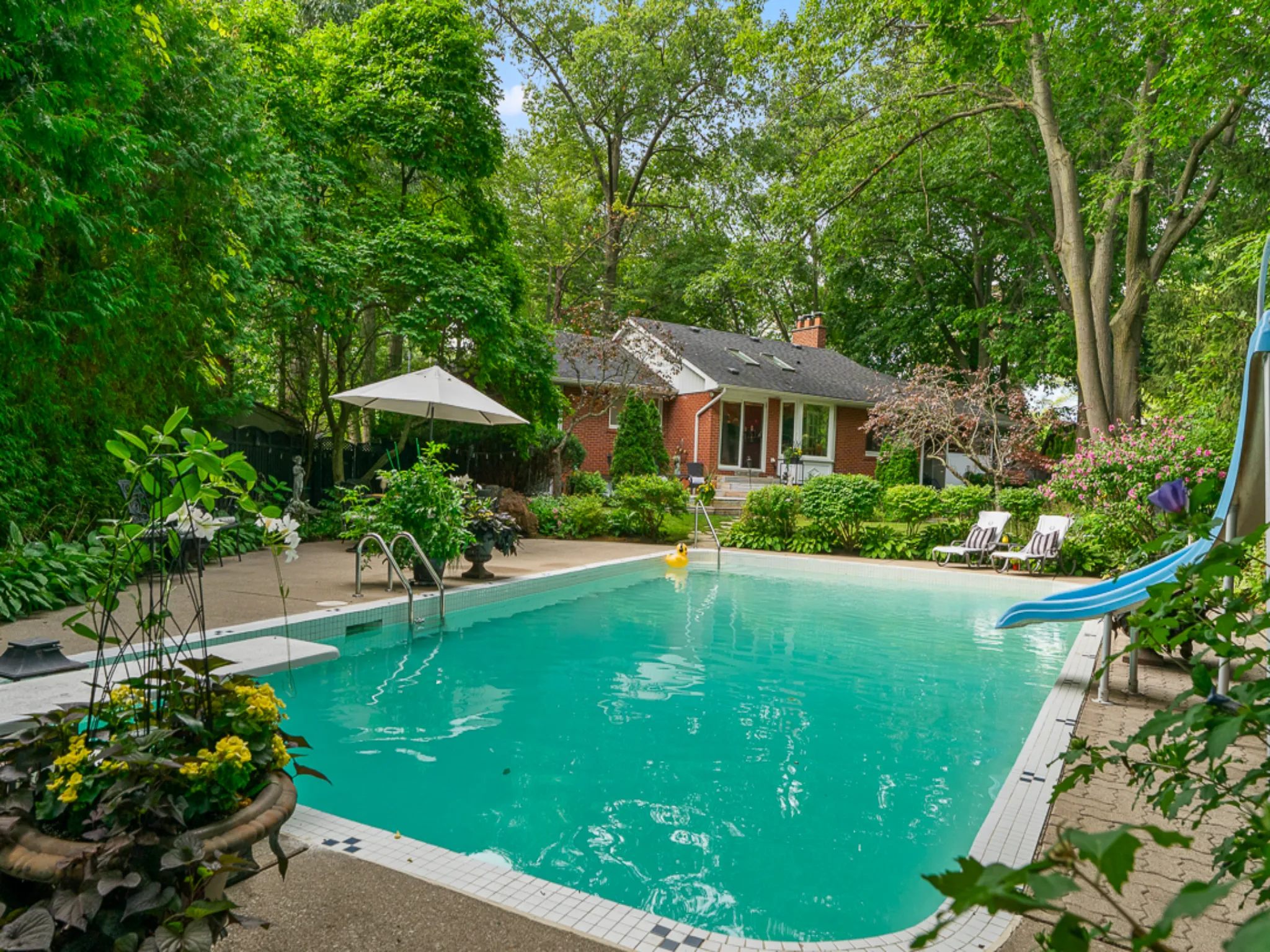 backyard with large pool and white umbrella, among beautiful green plantings