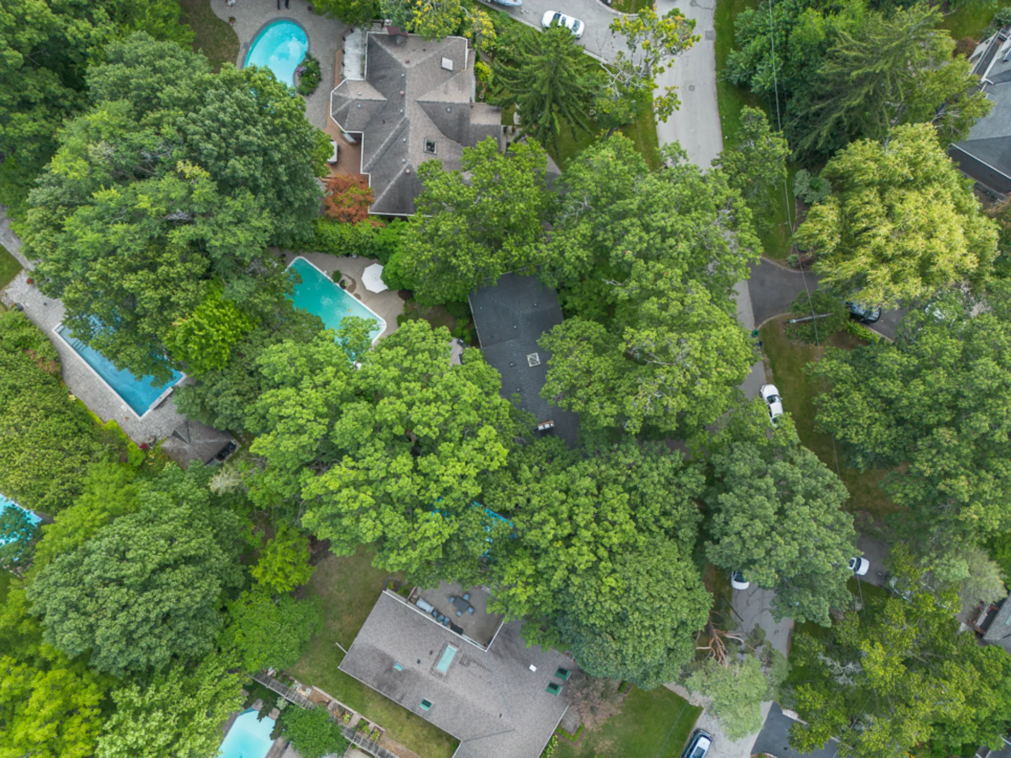 aerial birds eye view of the property displaying large tree canopy