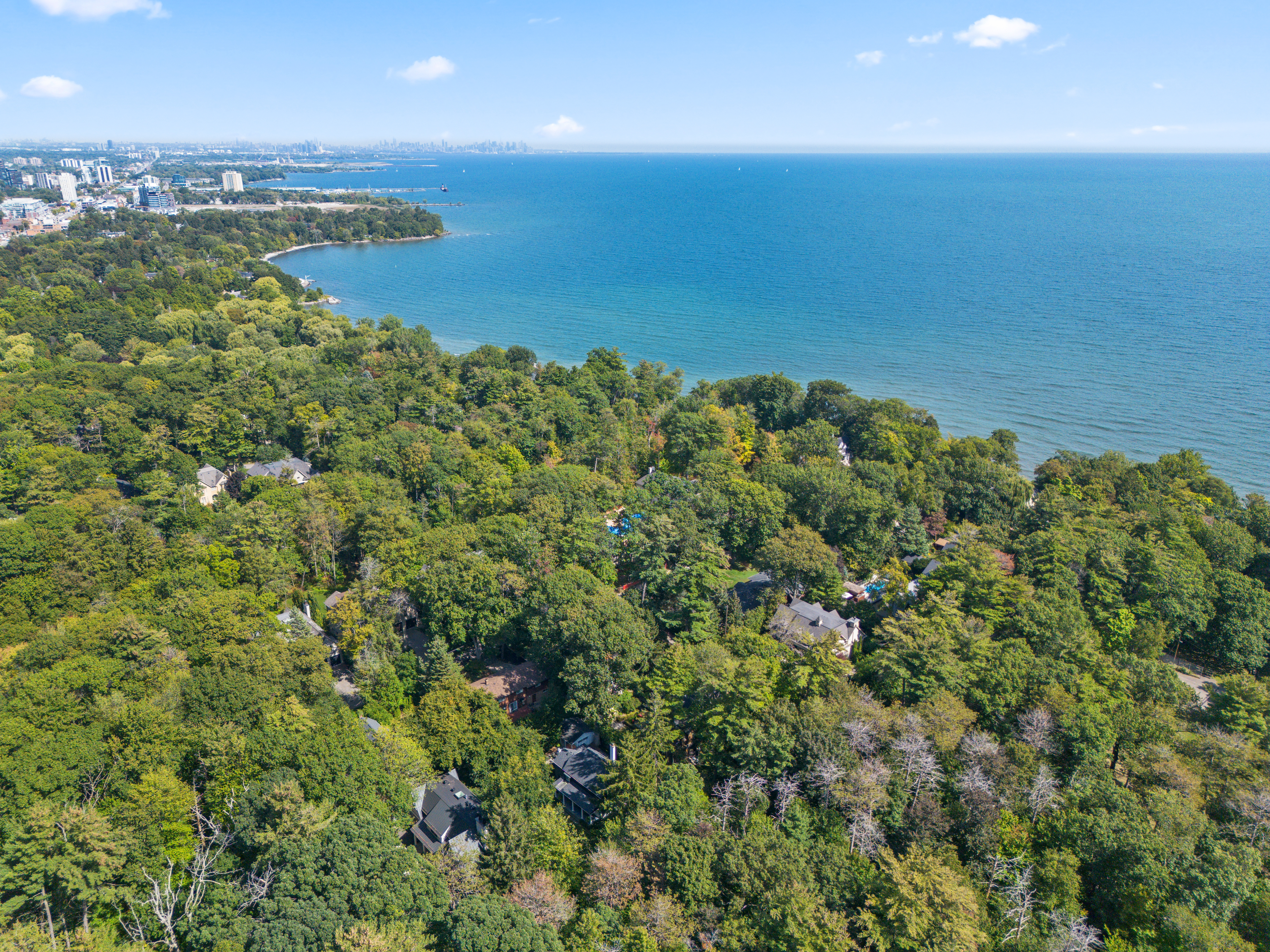 Aerial view of lush green trees along a coastline with blue water