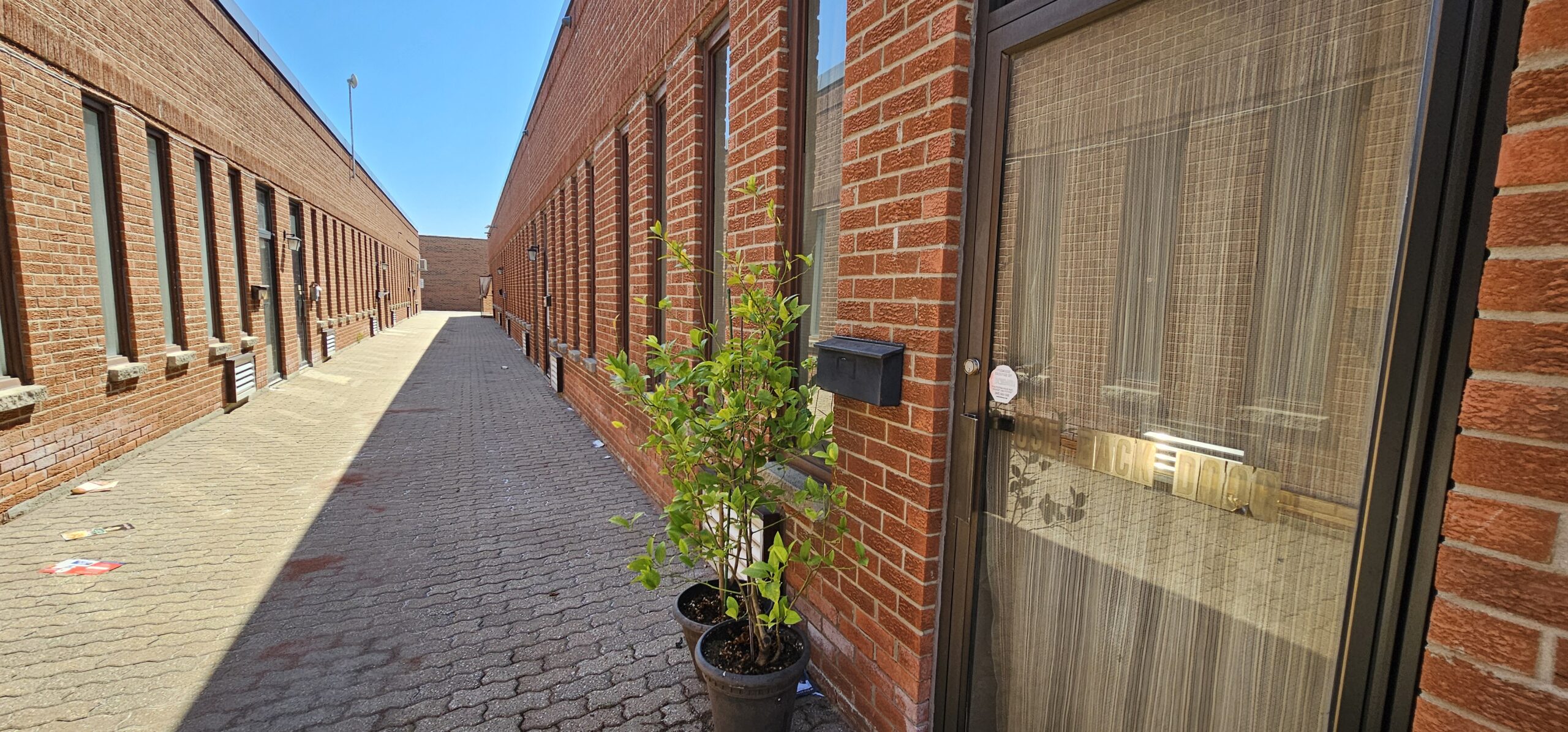 Narrow brick alleyway with a door and potted plant under a clear blue sky