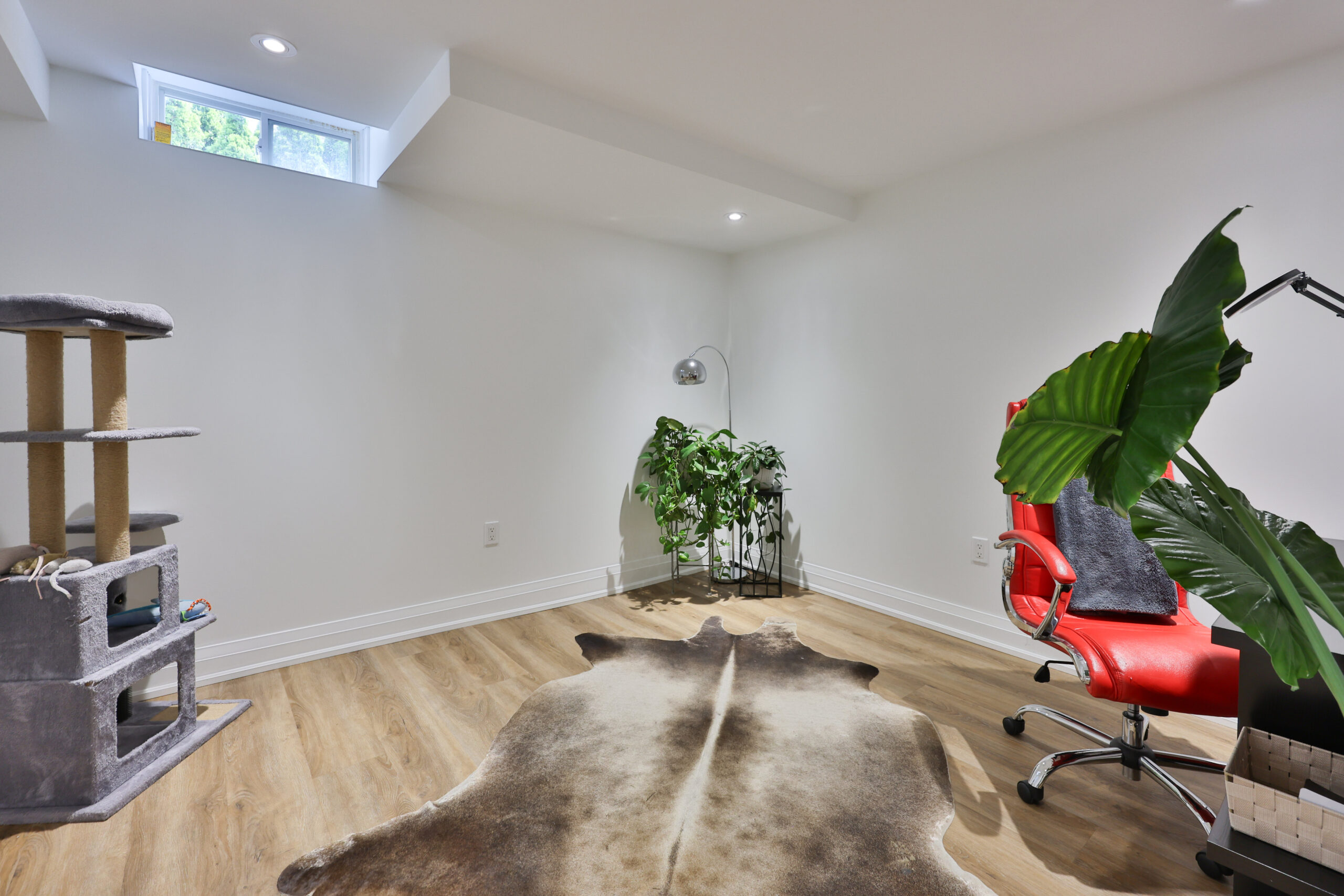 Bright, minimalist room with a red chair, plants, and a cowhide rug