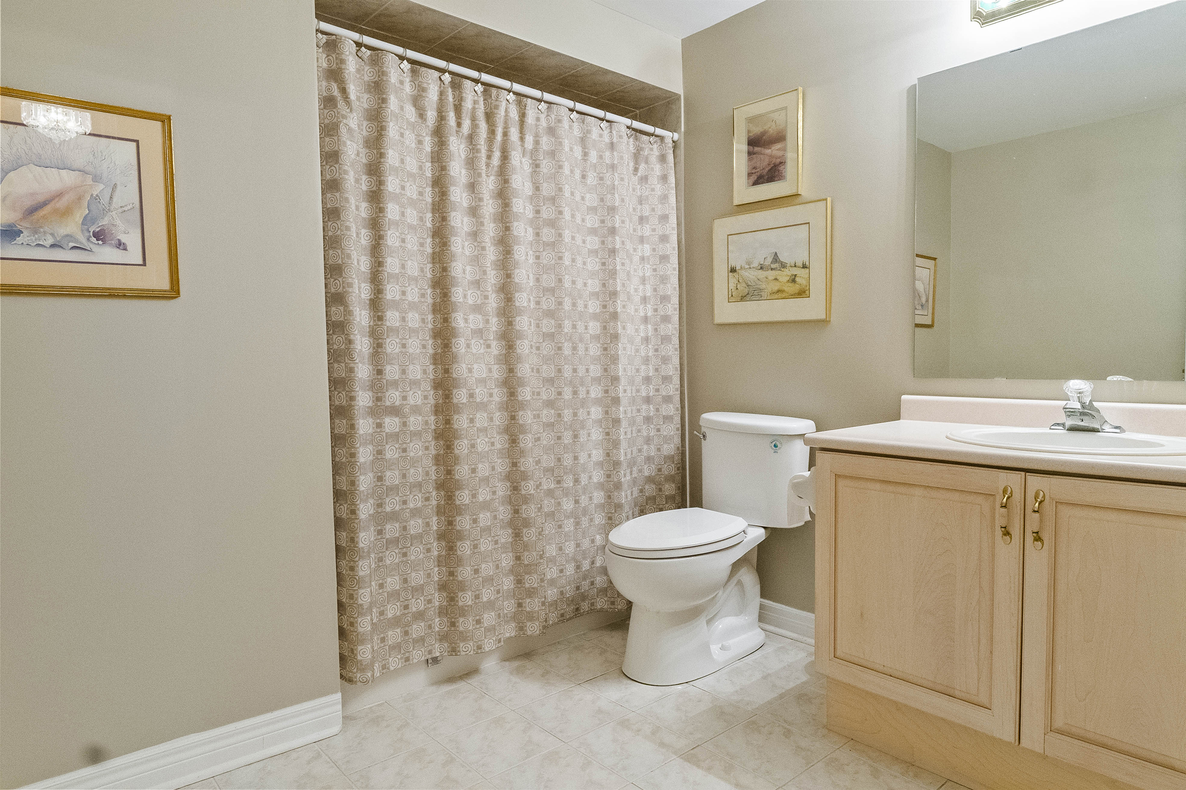 Neutral-toned bathroom with a shower curtain, toilet, and sink vanity