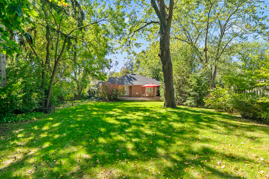 very deep lot with plenty of green space