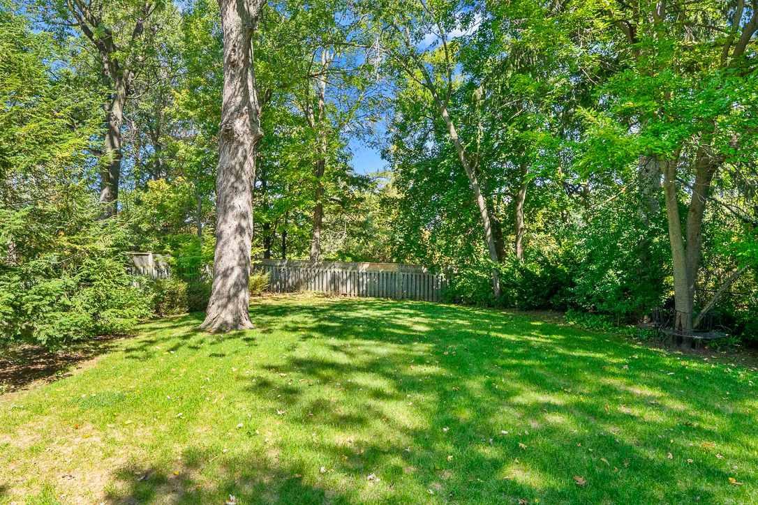 green space and mature tree coverage