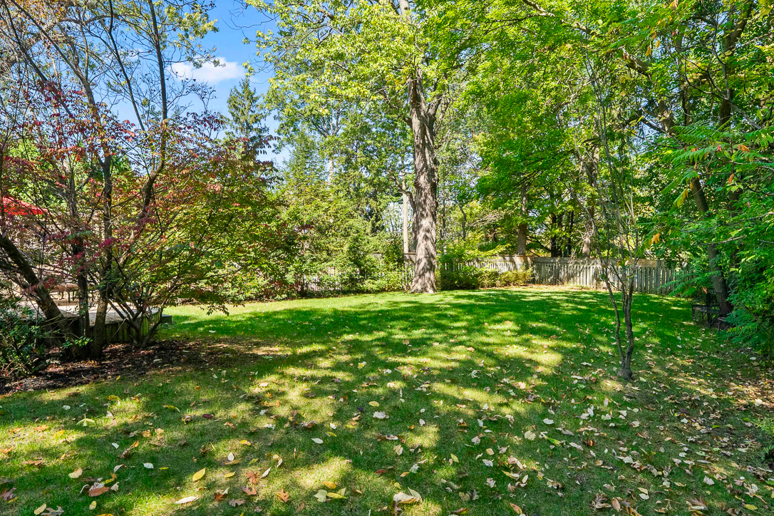 Lush green backyard with trees and scattered leaves in Mississauga