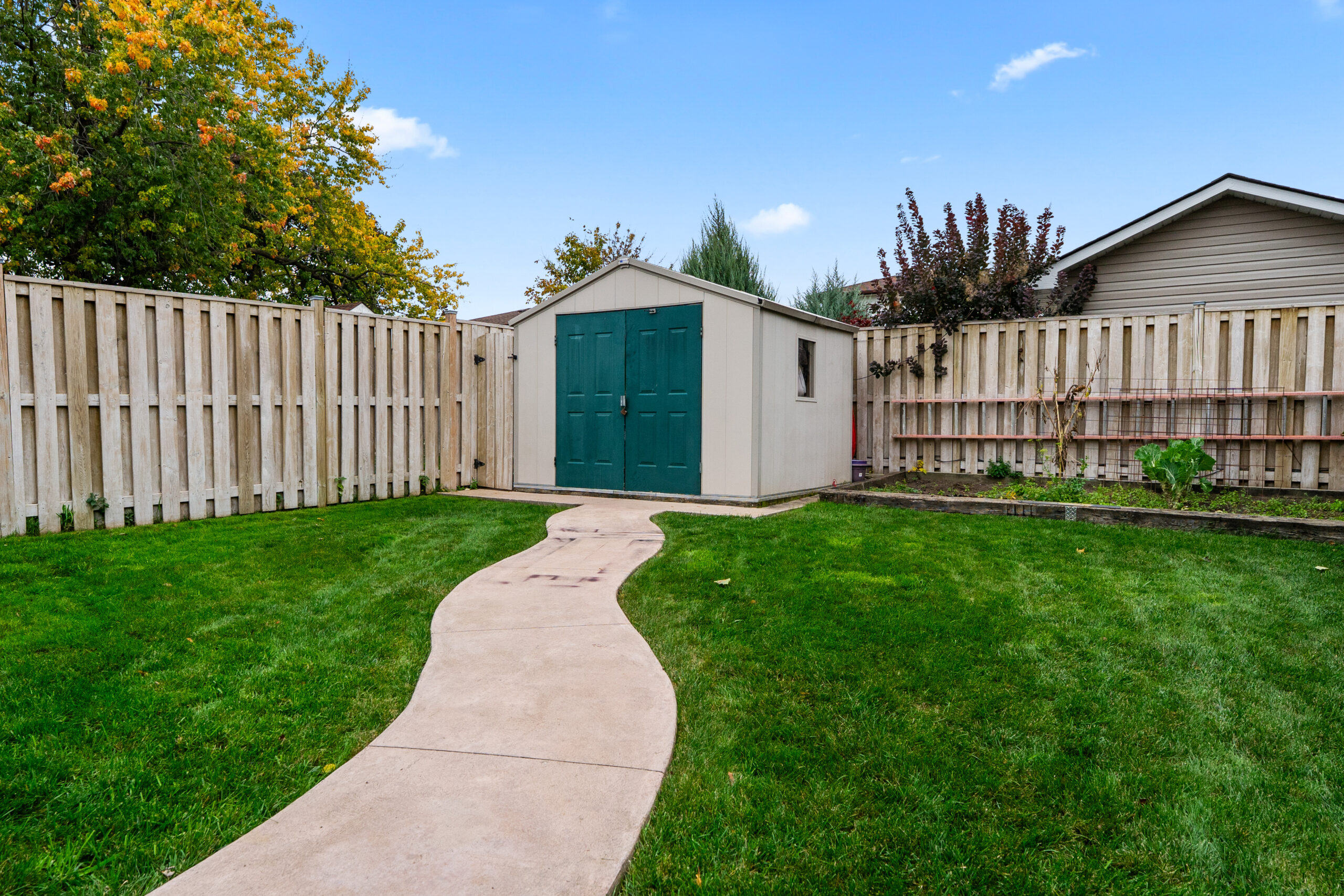 Backyard with a concrete path leading to a shed and wooden fence