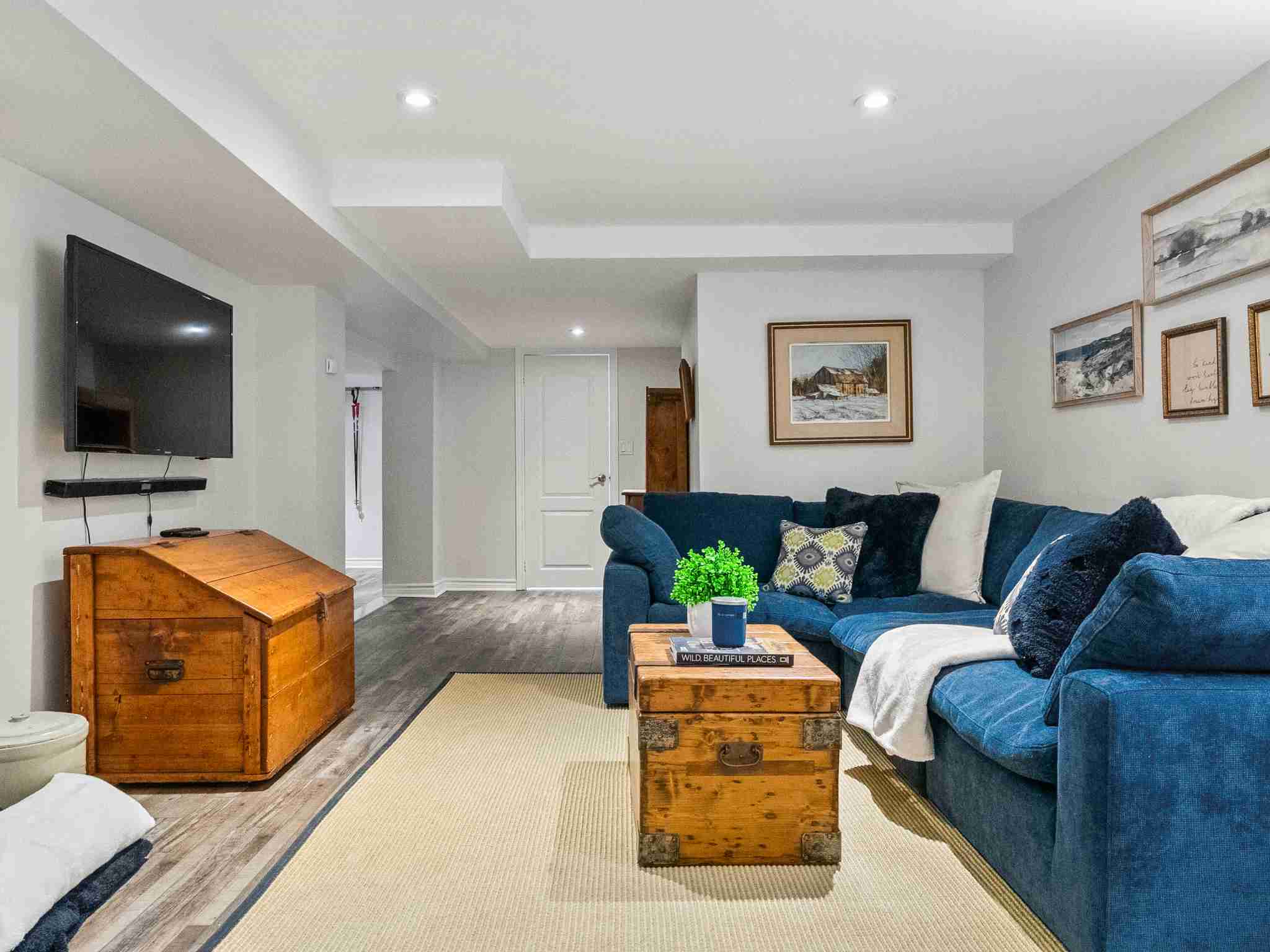 lower level recreation room