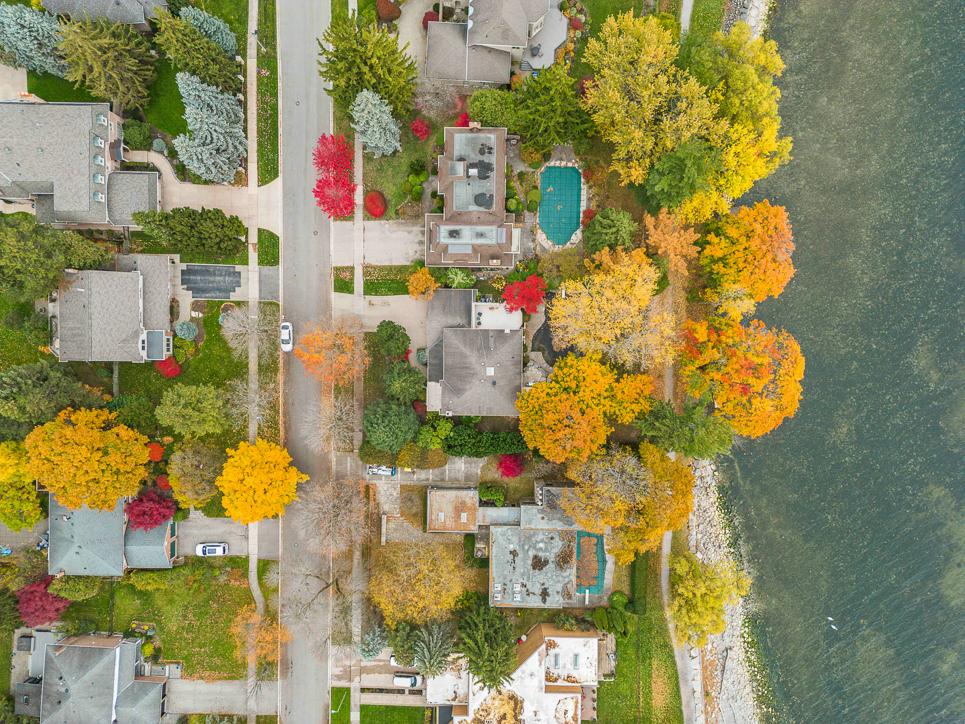Aerial view of colorful autumn trees and residential homes by the water