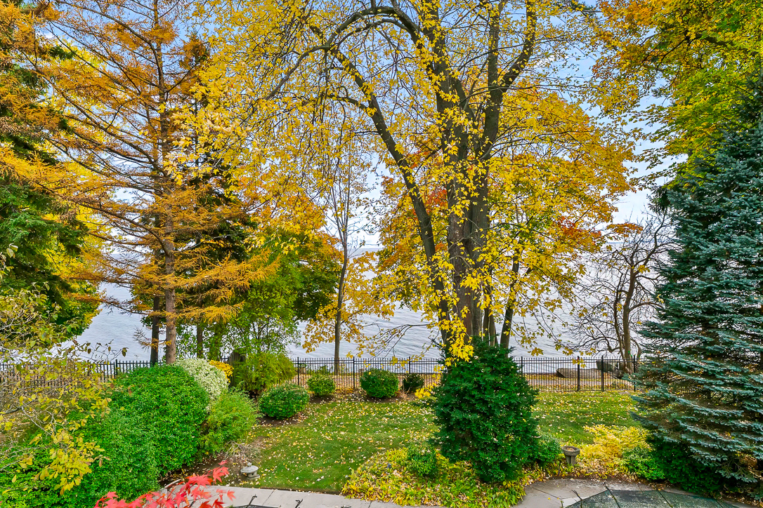 Vibrant autumn foliage surrounding a serene lakeside view