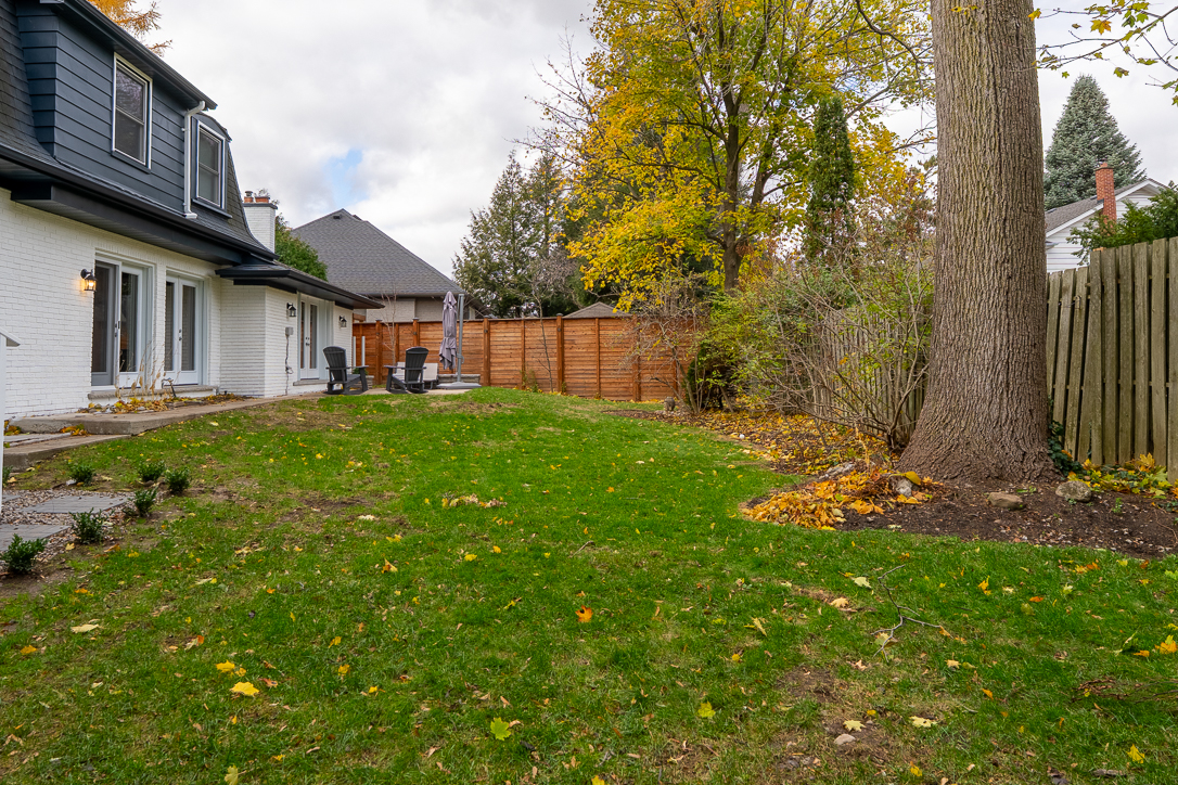 Lush green backyard with autumn leaves and wooden fence