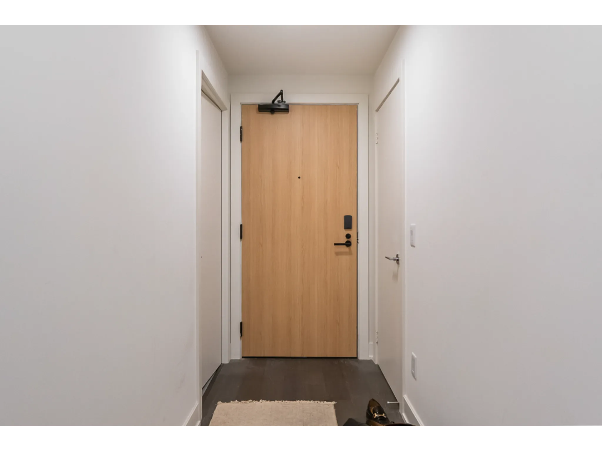 Interior entrance into the unit. Light oak door with bright painted white walls.