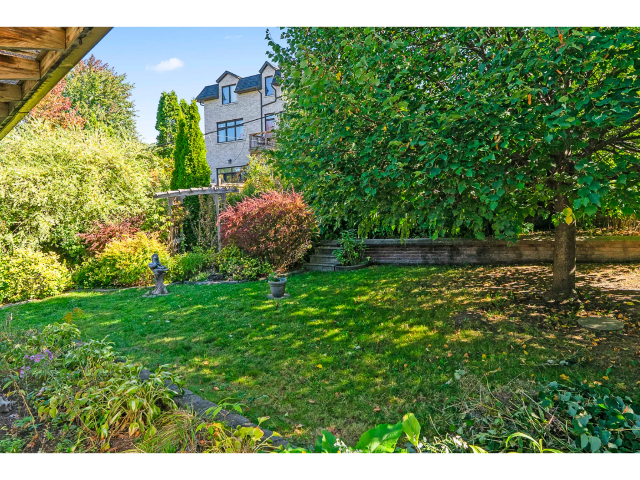 Exterior large back yard with mature tree