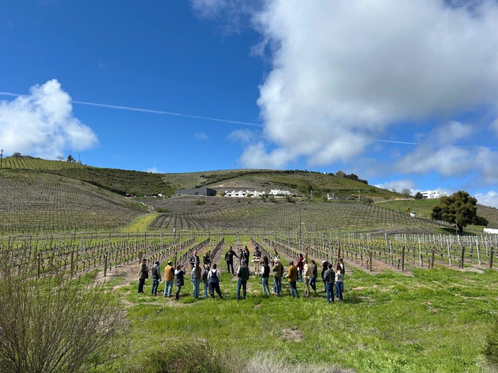 1BC Virtual Field Day #3