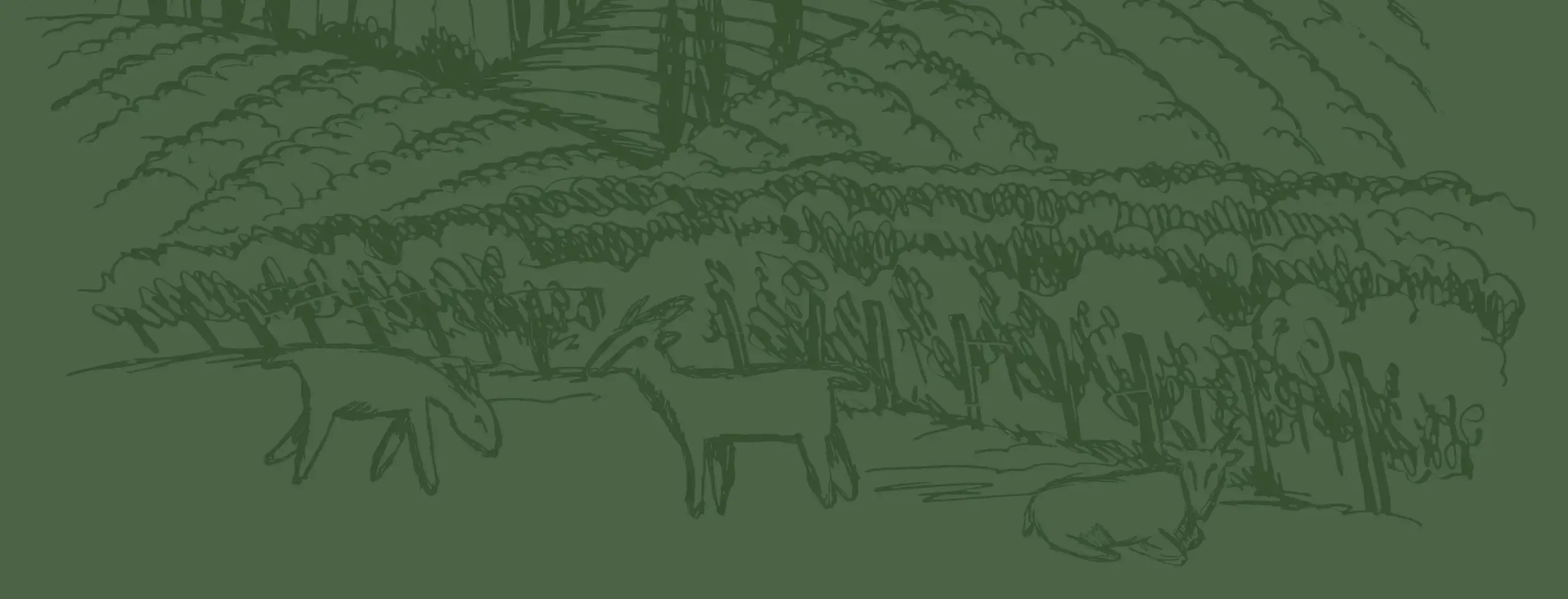 Linework background of crops