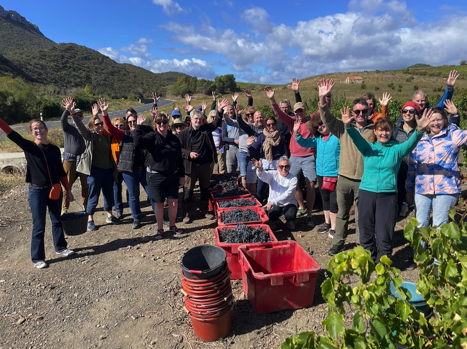 1BC Napa Virtual Info Session #2