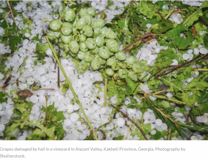 Adapting and Building Resilience to Extreme Hail