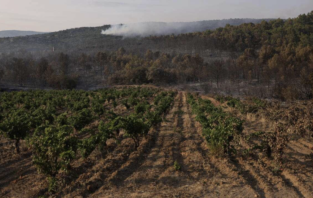 Adapting and Building Resilience to Extreme Heat