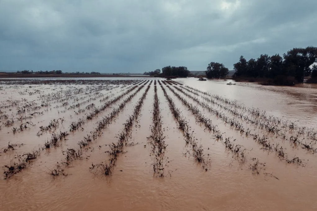 Adapting and Building Resilience to Extreme Rainfall