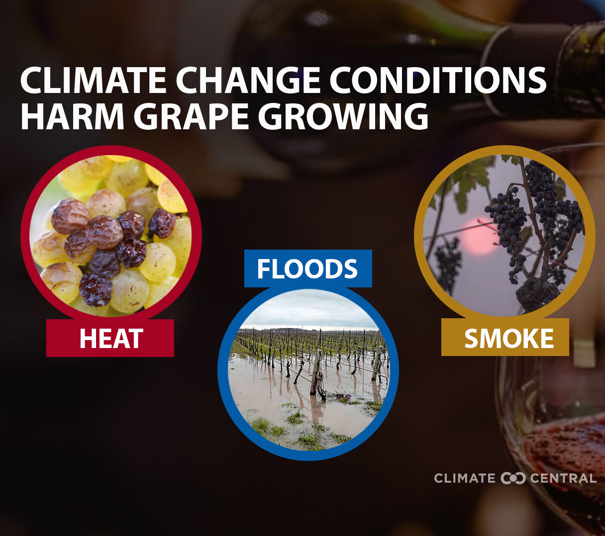 Climate Change Adaptation