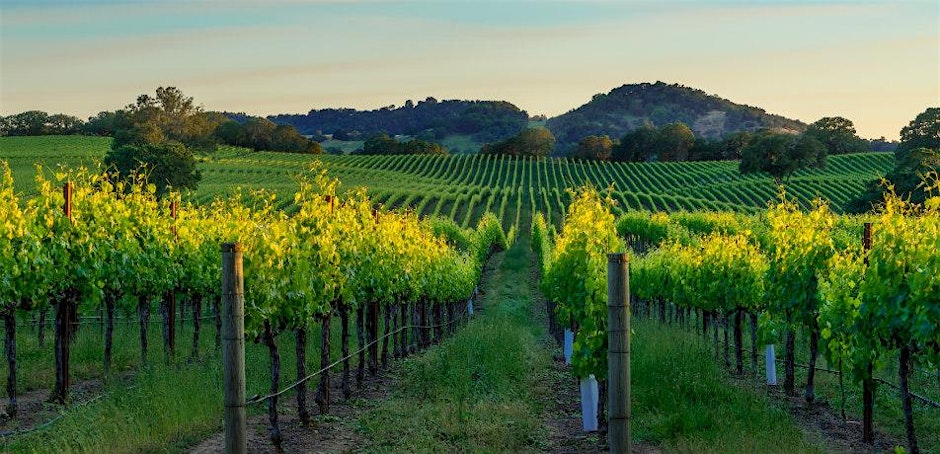 Sonoma One Block Challenge™ Virtual Info Session