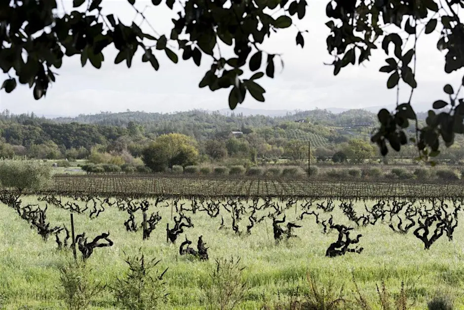 Sonoma One Block Challenge™ Field Day