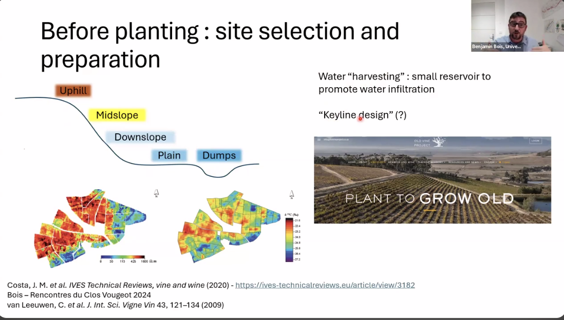 How to combat drought in your vineyard