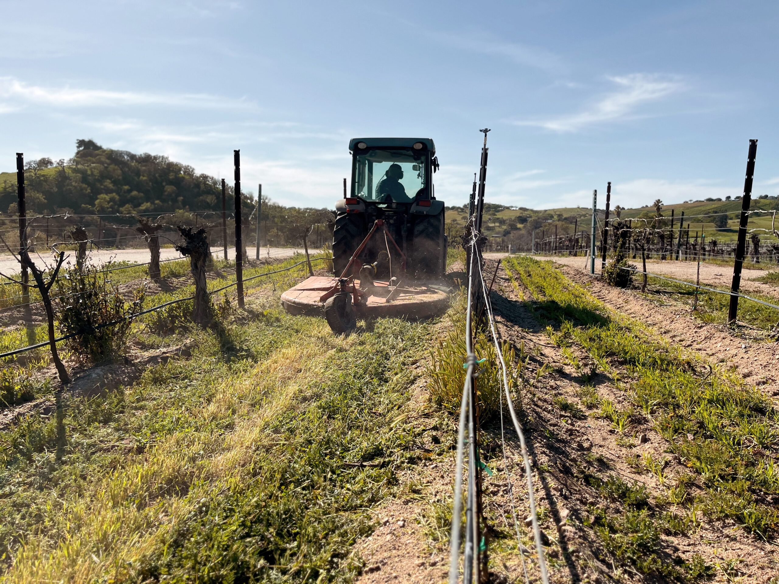 Paso One Block Challenge™ Field Day