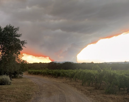 Adapting and Building Resilience to Wildfires