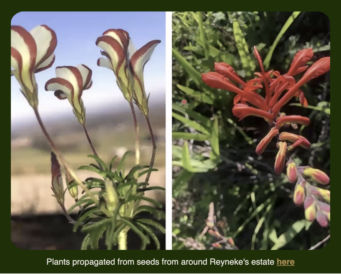September 2026 Newsletter