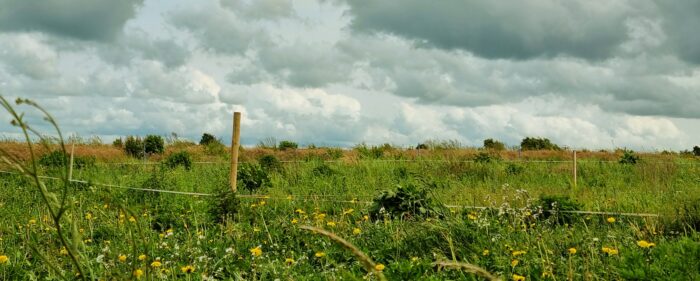 regenerative farming in the UK