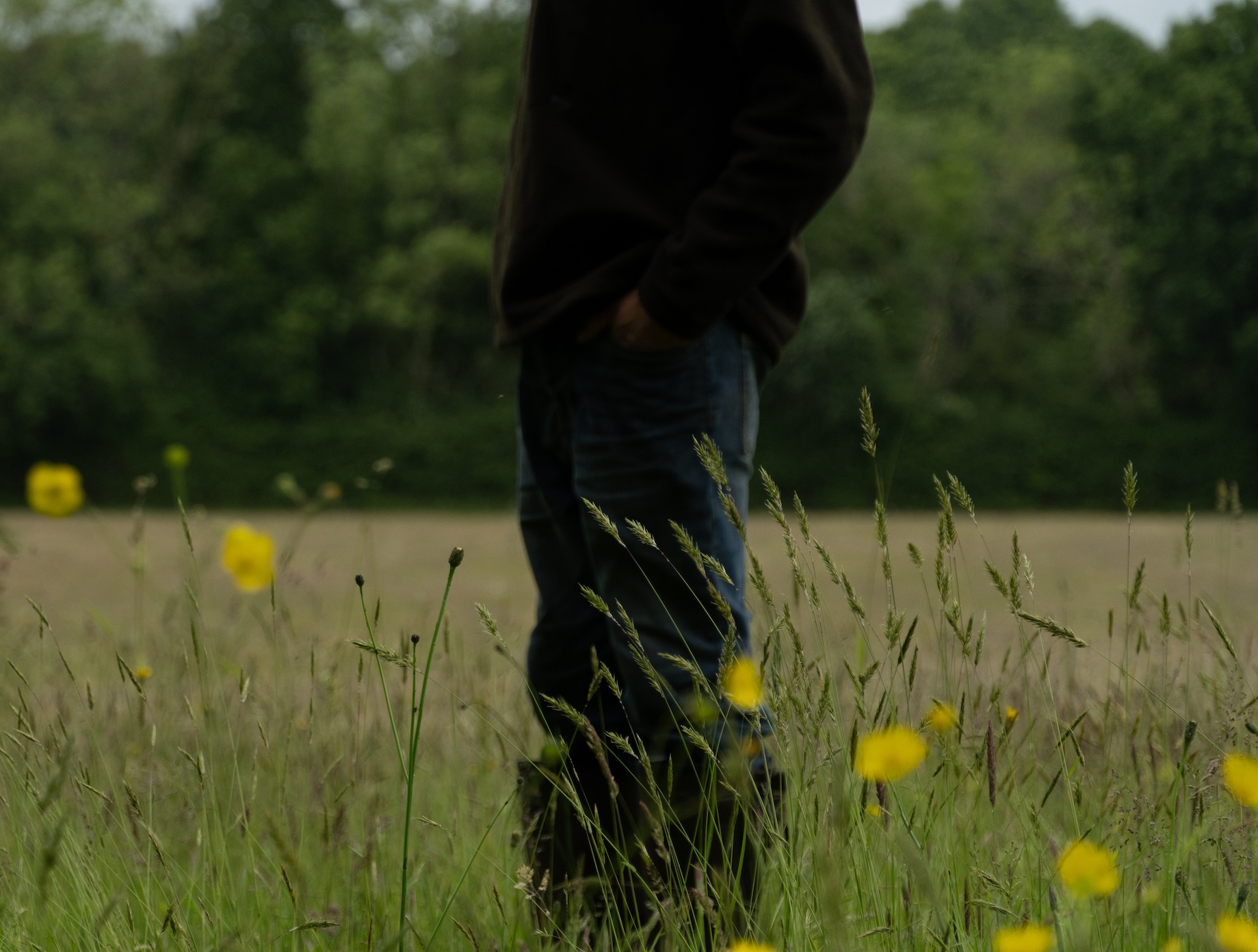 make your mark uk careers regenified