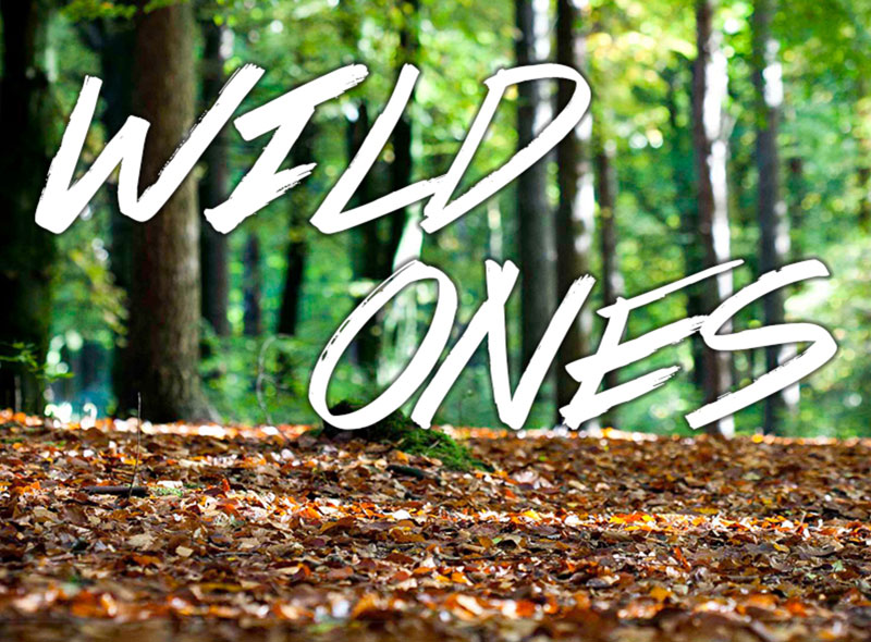 Wild Ones