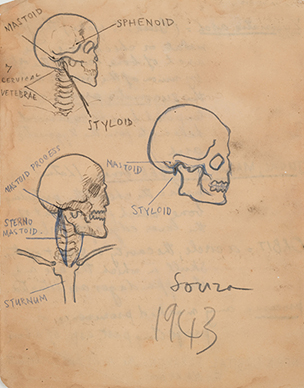 Untitled (Anatomy Study) verso; Untitled recto