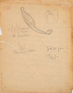 Untitled (Anatomy Study) verso; Untitled recto