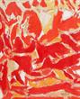 S H Raza - Raza: The Bindu and Beyond